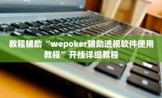 教程辅助“wepoker辅助透视软件使用教程”开挂详细教程