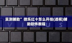 实测辅助”微乐红十怎么开挂(透视)辅助软件教程