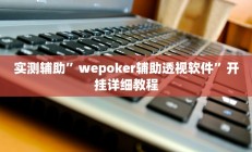 实测辅助”wepoker辅助透视软件”开挂详细教程