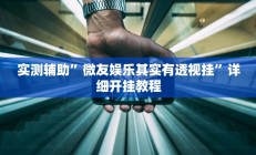 实测辅助”微友娱乐其实有透视挂”详细开挂教程