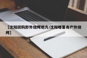 【沈阳团购野外烧烤地方/沈阳哪里有户外烧烤】