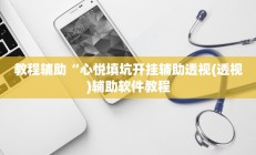 教程辅助“心悦填坑开挂辅助透视(透视)辅助软件教程
