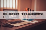 重庆土猫绝育团购（重庆母猫绝育哪里便宜?）