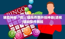 实测辅助”胜奕填大坑开挂神器”开挂详细教程