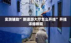 实测辅助”新道游大厅怎么开挂”开挂详细教程