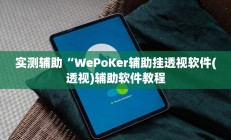 实测辅助“WePoKer辅助挂透视软件(透视)辅助软件教程