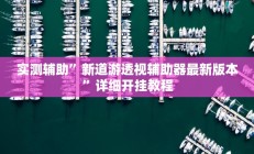 实测辅助”新道游透视辅助器最新版本”详细开挂教程