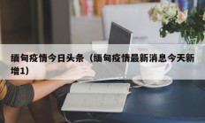 缅甸疫情今日头条（缅甸疫情最新消息今天新增1）