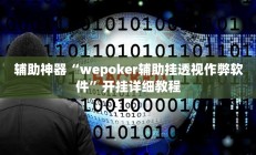 辅助神器“wepoker辅助挂透视作弊软件”开挂详细教程