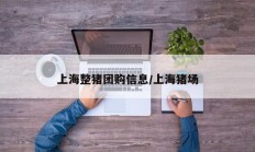 上海整猪团购信息/上海猪场