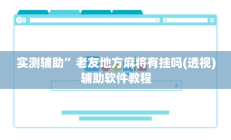 辅助神器“边锋干瞪眼开挂方法”详细开挂教程