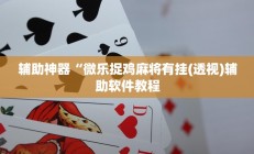 辅助神器“微乐捉鸡麻将有挂(透视)辅助软件教程