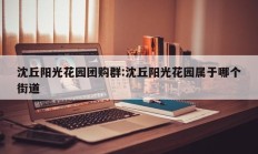 沈丘阳光花园团购群:沈丘阳光花园属于哪个街道