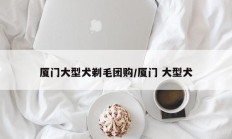 厦门大型犬剃毛团购/厦门 大型犬