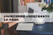 小狗的尾巴团购教程:小狗的尾巴是用来干什么的 秒懂百科