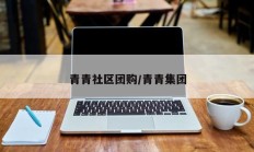 青青社区团购/青青集团