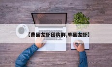 【曹县龙虾团购群,单县龙虾】