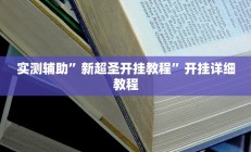 实测辅助”新超圣开挂教程”开挂详细教程