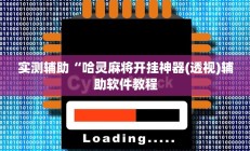 实测辅助“哈灵麻将开挂神器(透视)辅助软件教程
