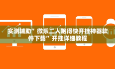 辅助神器“边锋干瞪眼开挂”开挂详细教程