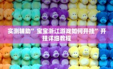 实测辅助”宝宝浙江游戏如何开挂”开挂详细教程