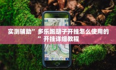 实测辅助”多乐跑胡子开挂怎么使用的”开挂详细教程