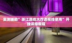 实测辅助”七彩佬腌菜怎么开挂”开挂详细教程