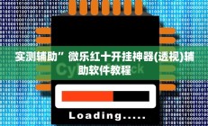 实测辅助”微乐红十开挂神器(透视)辅助软件教程