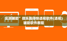 实测辅助”微乐跑得快透视软件(透视)辅助软件教程