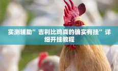 实测辅助”吉利比鸡真的确实有挂”详细开挂教程