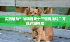 实测辅助”哈狗游戏十三道有挂吗”开挂详细教程
