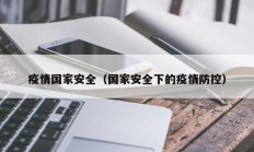 疫情国家安全（国家安全下的疫情防控）