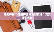 辅助神器“花城牌舍辅助器软件”其实确实有挂