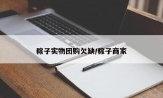 粽子实物团购欠缺/粽子商家