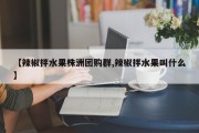 【辣椒拌水果株洲团购群,辣椒拌水果叫什么】
