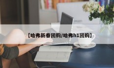 【哈弗新春团购/哈弗h1团购】