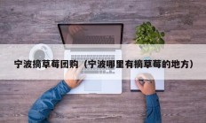 宁波摘草莓团购（宁波哪里有摘草莓的地方）