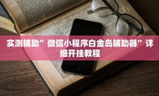 实测辅助”微信小程序白金岛辅助器”详细开挂教程