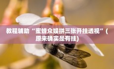 实测辅助”微乐锄大地有没有挂(透视)辅助软件教程