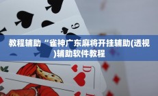 辅助神器“wepoker俱乐部有挂吗”开挂详细教程
