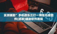 实测辅助”亲友圈开挂作弊软件”开挂详细教程