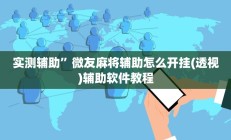 实测辅助”微友麻将辅助怎么开挂(透视)辅助软件教程