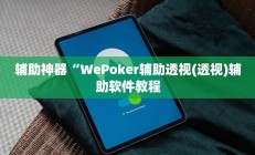辅助神器“WePoker辅助透视(透视)辅助软件教程
