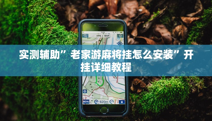 实测辅助”老家游麻将挂怎么安装”开挂详细教程