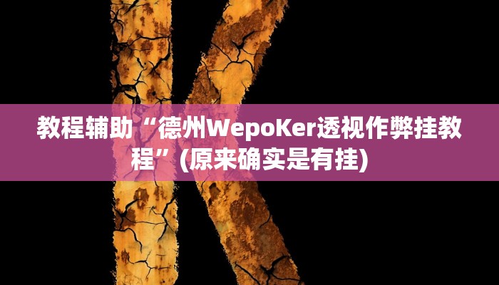教程辅助“德州WepoKer透视作弊挂教程”(原来确实是有挂)