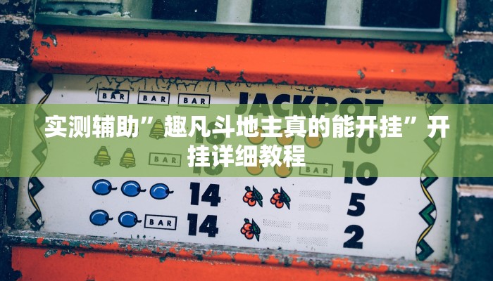 实测辅助”瓜瓜丰城开挂神器(透视)辅助软件教程