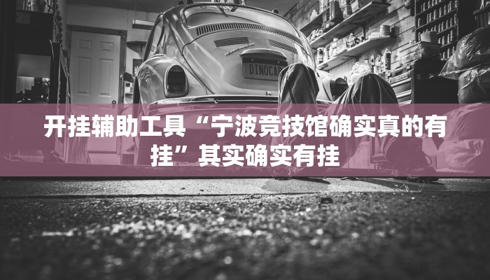 开挂辅助工具“宁波竞技馆确实真的有挂”其实确实有挂