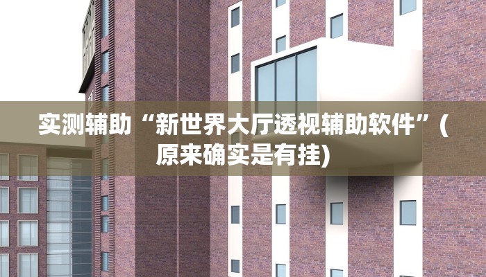 实测辅助“新世界大厅透视辅助软件”(原来确实是有挂)