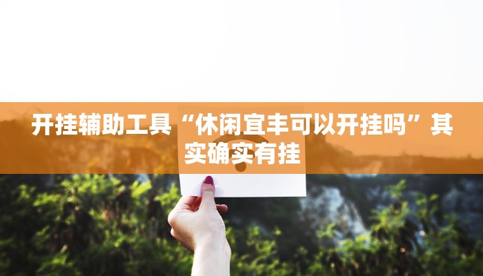 开挂辅助工具“休闲宜丰可以开挂吗”其实确实有挂