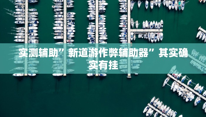 实测辅助”新道游作弊辅助器”其实确实有挂